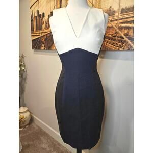 Nwt Banana Republic Sloan Colorblock Sheath Dress